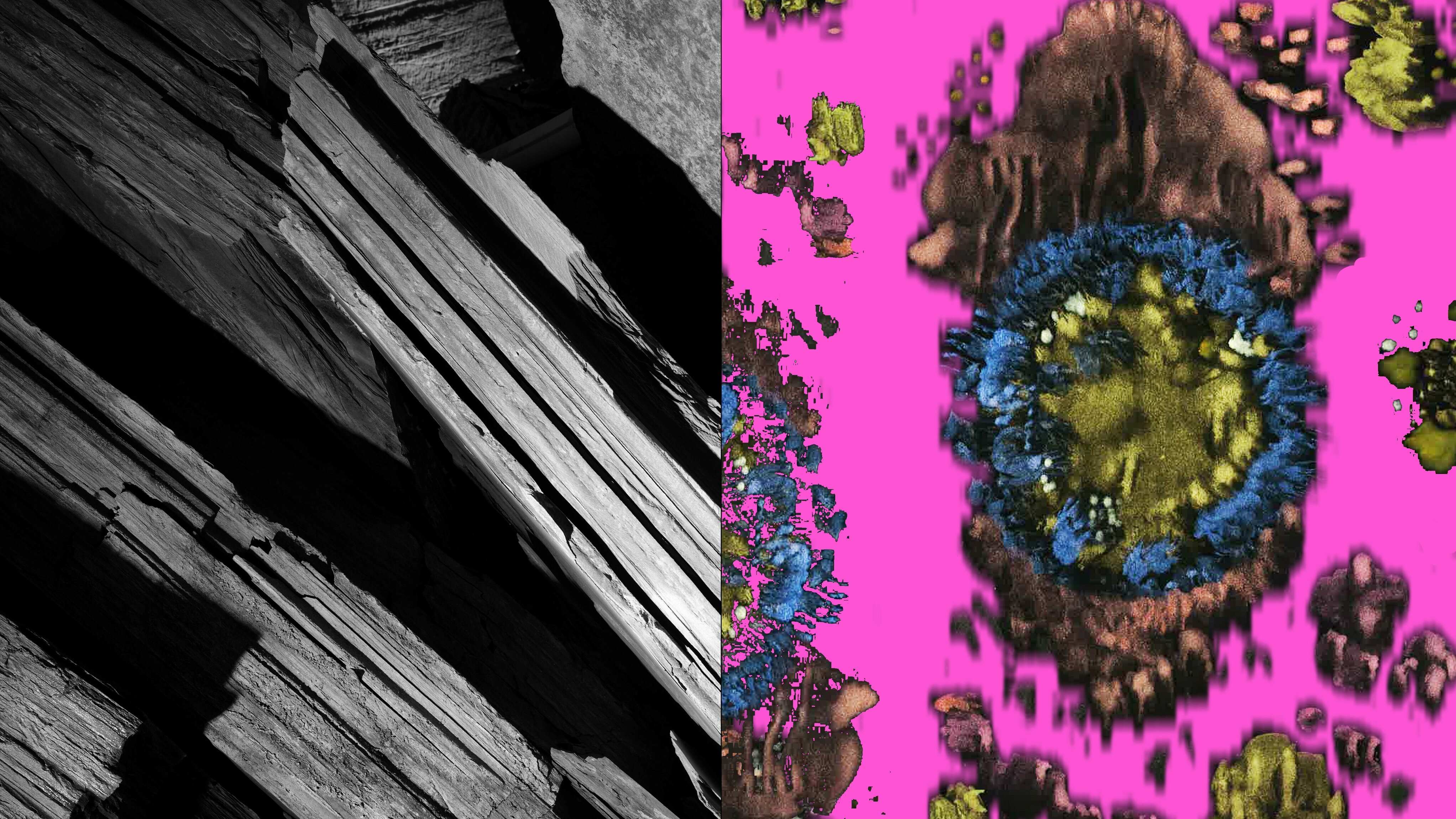 Ausstellung – Zwei künstlerische Resonanzen aus dem Landesplattenberg 